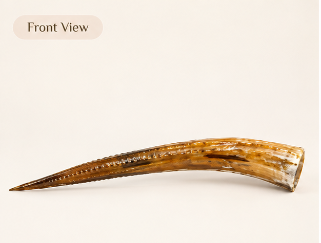 Handcrafted Decorative Horn Sculpture