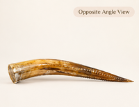 Handcrafted Decorative Horn Sculpture