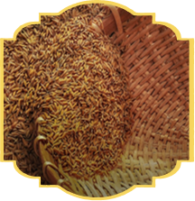 Organic Foods